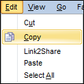 Publish_EditCopyMenu