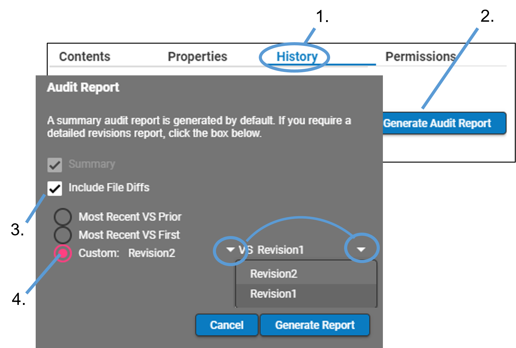 AuditReportFile