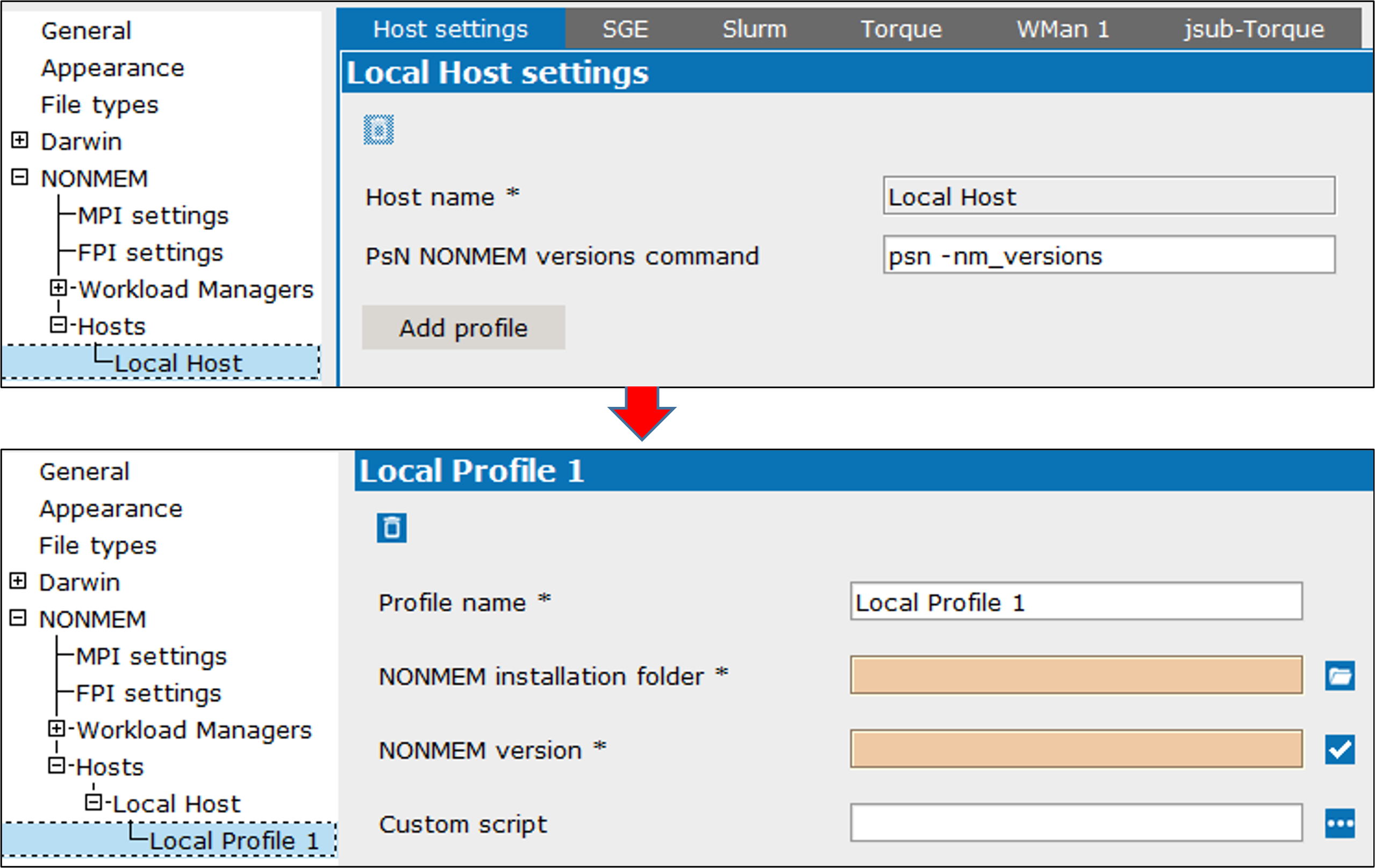 NONMEMLocalProfile
